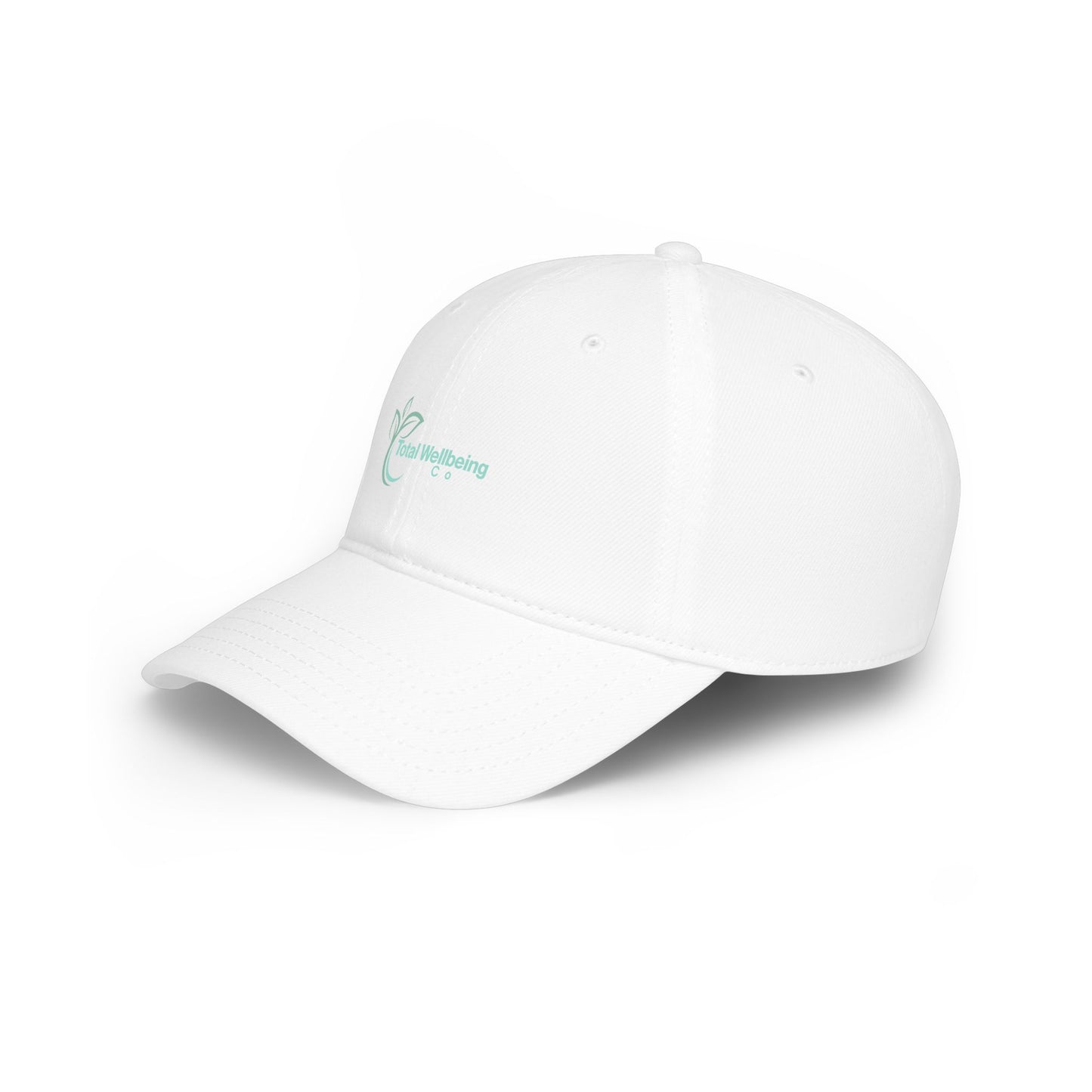 Low Profile Baseball Cap