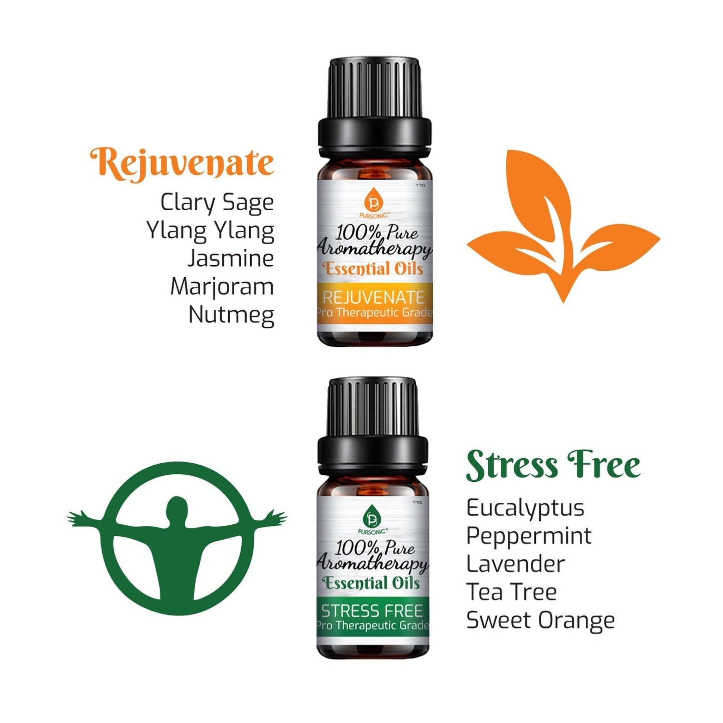 6-Pack Pure Essential Aromatherapy Oil Blends