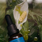 Emanations Profound Face Oil Tallow Emu Deep Nourishing