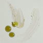 Emanations Profound Face Oil Tallow Emu Deep Nourishing