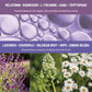 Natural Sleep Aid Patches with Melatonin Lavender GABA 36pcs